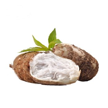 New Crop Fresh Taro Factory Price Hot Sale Fresh Taro From China