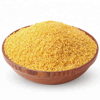 Top grade China yellow millet groats millet for sale