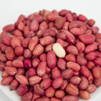 China origin best quality good taste red peanut without shell for sale